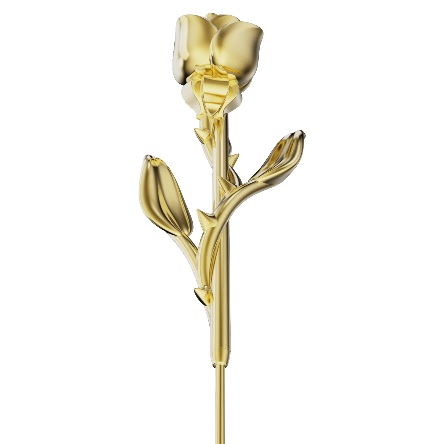 Radiant Rose